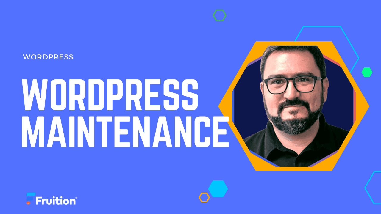 Explore our all-inclusive WordPress website maintenance services today. Regular backups, content updates, security checks and more delivered by experienced professionals.

Body Content:

# Comprehensive WordPress Maintenance Services

[Website maintenance](https://fruition.net/services/wordpress-website-services) is a pivotal component of a thriving online business. For WordPress users, routine maintenance is even more essential. Our consummate services cover everything from regular backups to speed optimizations and security audits.

Our seasoned team of WordPress specialists handles the necessary upkeep to keep your website secure, up-to-date, and running efficiently. We undertake systematic backups, regular updates, and stringent security checks, and guarantee peak optimization of your WordPress site.

## Fruition: Your Trusted Partner in WordPress Maintenance

Among our wide range of WordPress website maintenance services, we offer:

- Regular backup solutions for your website
- Timely and relevant content updates
- Extensive security audits
- Website speed optimization practices
- Upgrades to onwards WordPress versions
- SEO strategies in sync with Fruition's SEO Team
- Custom development projects tailored to unique client needs

##  Customizable Enterprise WordPress Maintenance Solutions 

We extend diverse, customizable packages intended to meet a gamut of business needs. Our services include:

- WordPress core and theme updates
- eCommerce support
- Efficient database optimization
- Monitoring and fixing broken links
- Troubleshooting WordPress bugs
- Data backups, archiving, and content updates
- Comprehensive SEO audits and related fixes
- Adding missing alt text
-  ADA compliance checks and fixes
- Form reviews 
- CSS coding fixes 
- Troubleshooting server issues and database errors 
- Domain and hosting management support 
- Server migration services 
- Security audits 
- User interface improvements 

Our tailor-made packages match unique business specifications. Ask for a complimentary, customized quote based on your business requirements.

If you have any additional queries about our offerings, or if you're ready to ensure the smooth functioning of your WordPress website with our maintenance services, please get in touch. We are eager to assist.